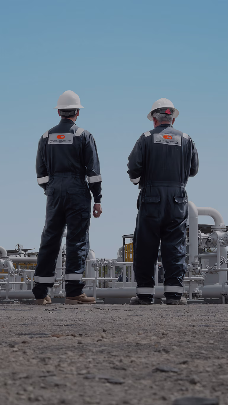 Oribelt servicios de optimización y producción petrolera